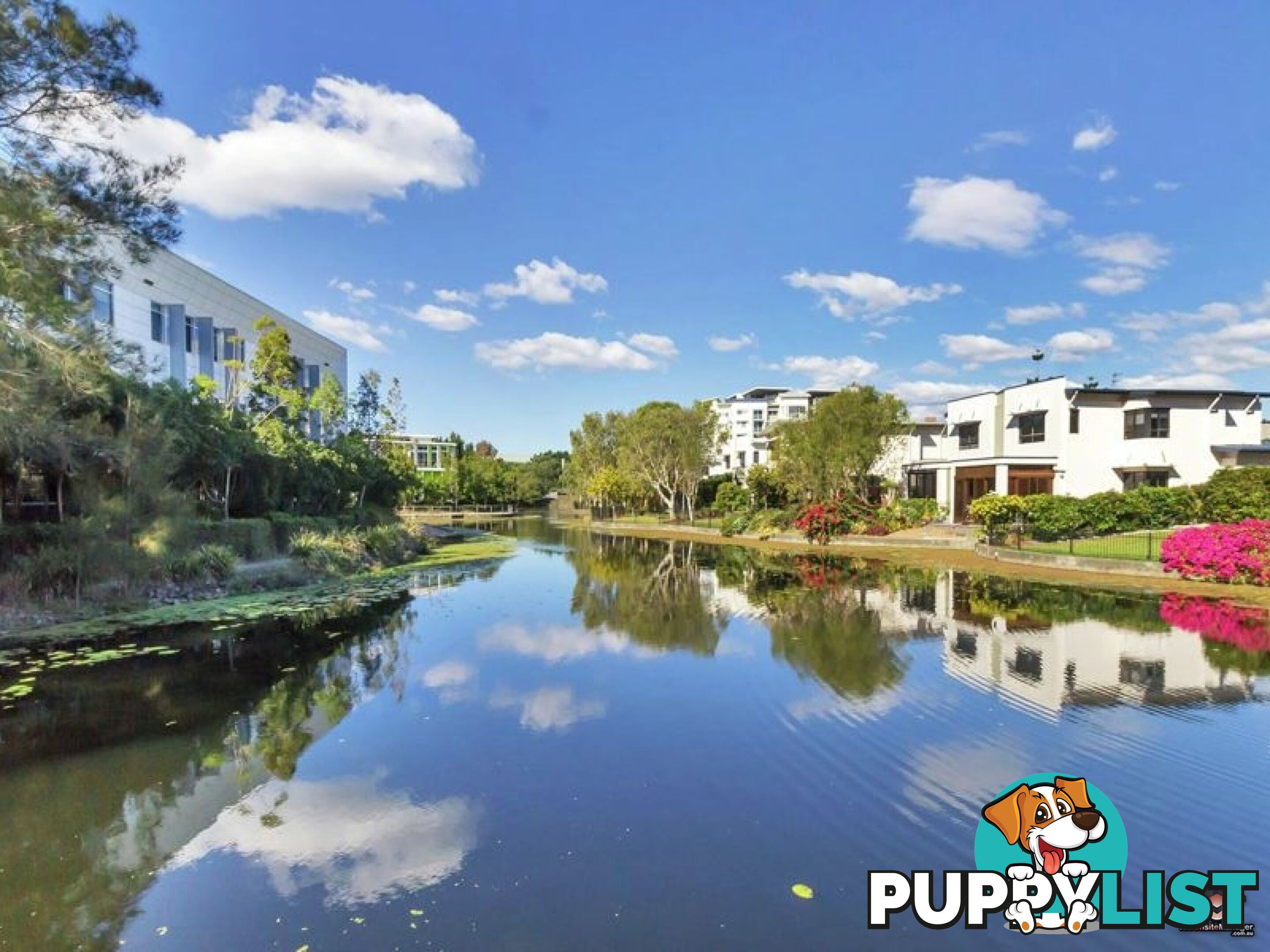 2 Riverwalk Avenue Robina QLD 4226