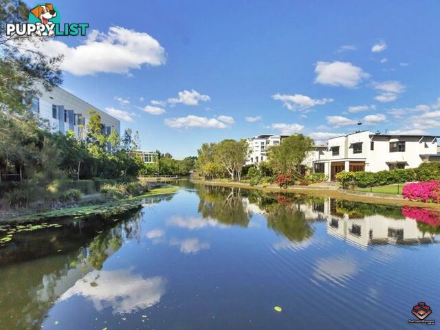 2 Riverwalk Avenue Robina QLD 4226