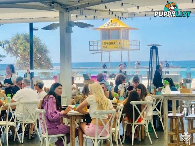 ID:21140158/52 The Esplanade Surfers Paradise QLD 4217