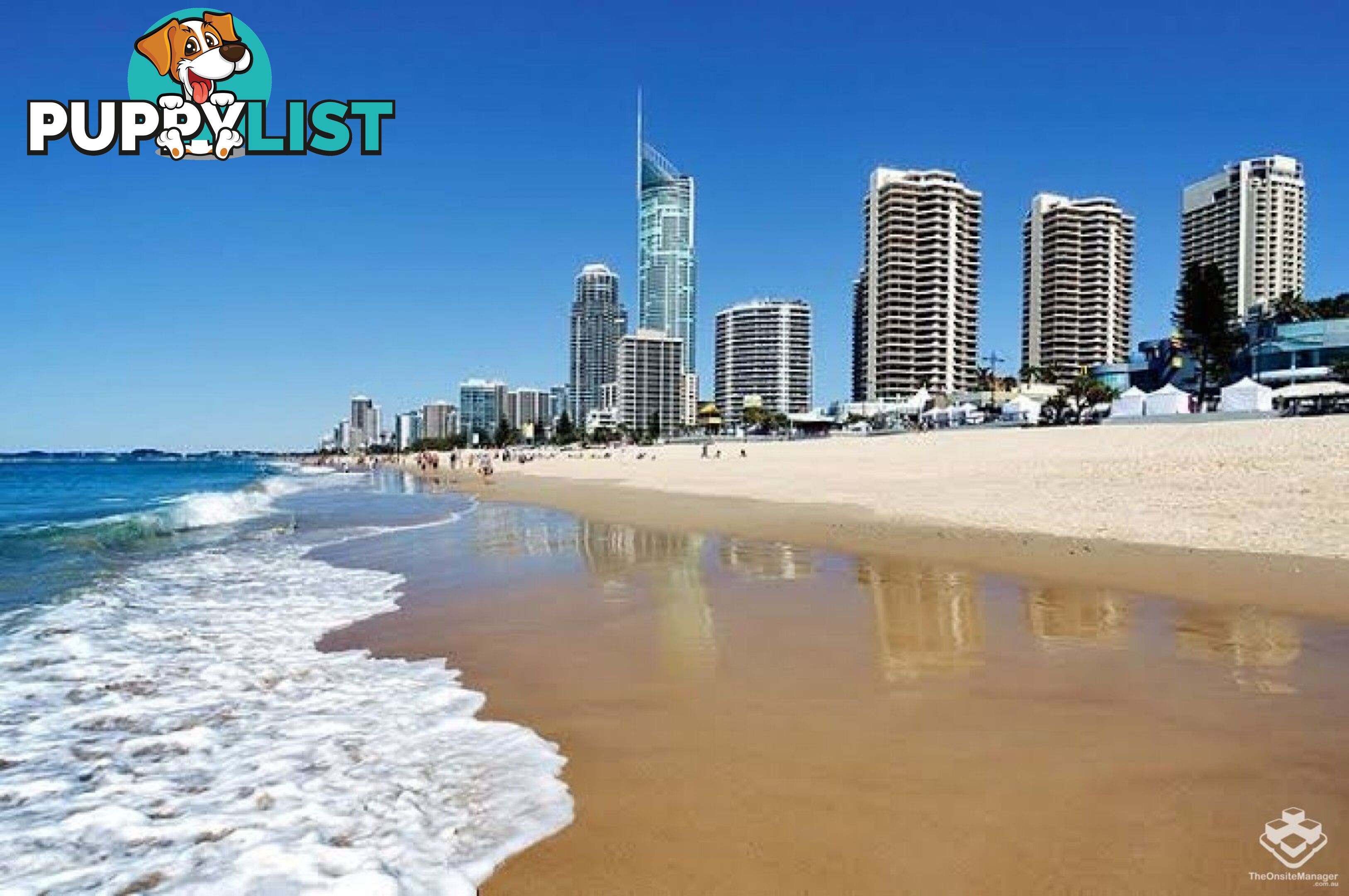 ID:21140158/52 The Esplanade Surfers Paradise QLD 4217