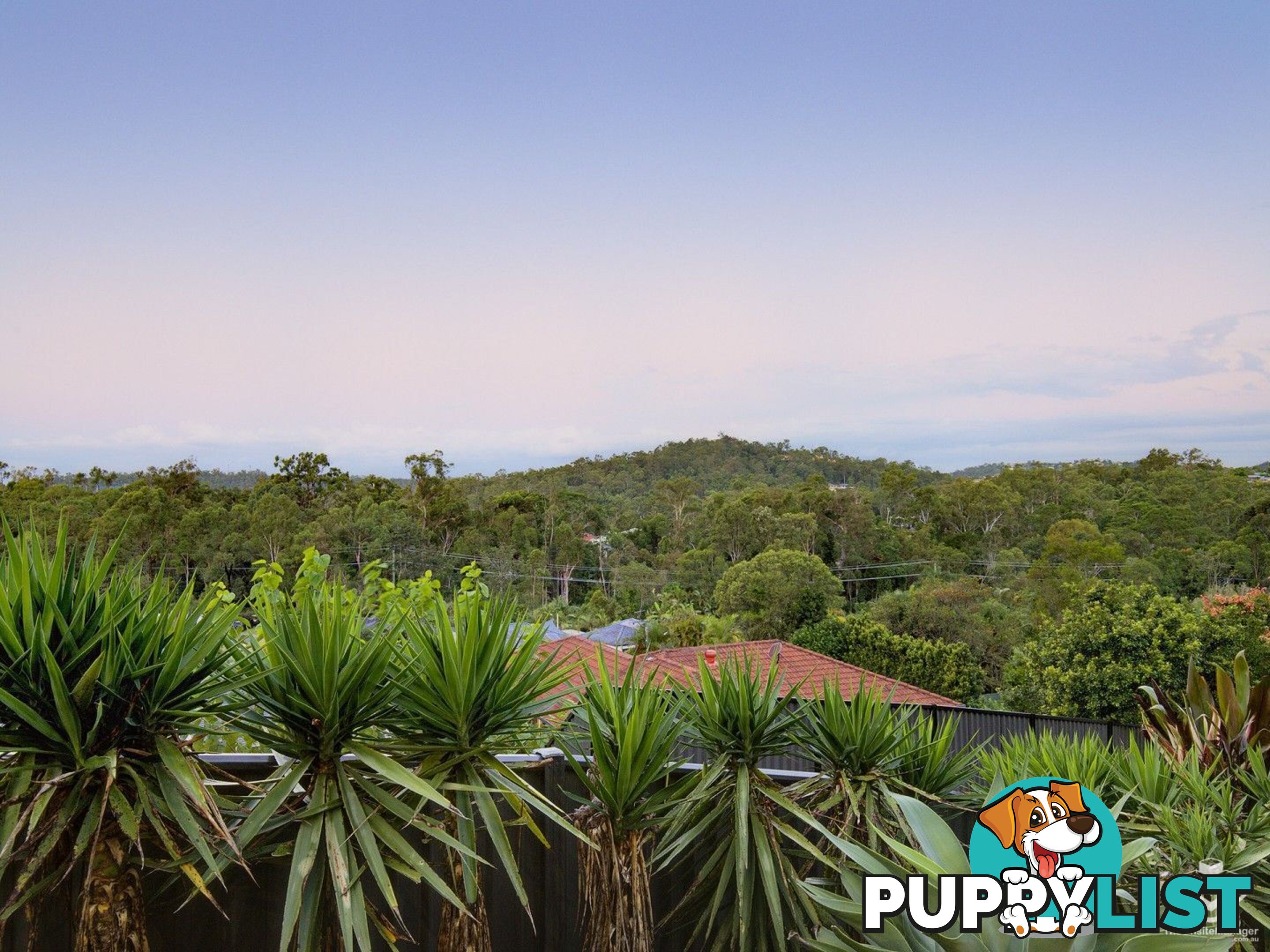 7 Hopman Court Oxenford QLD 4210