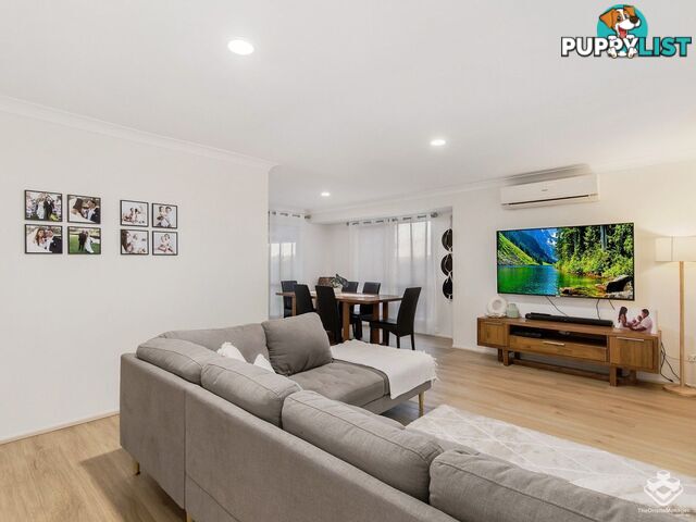 7 Hopman Court Oxenford QLD 4210