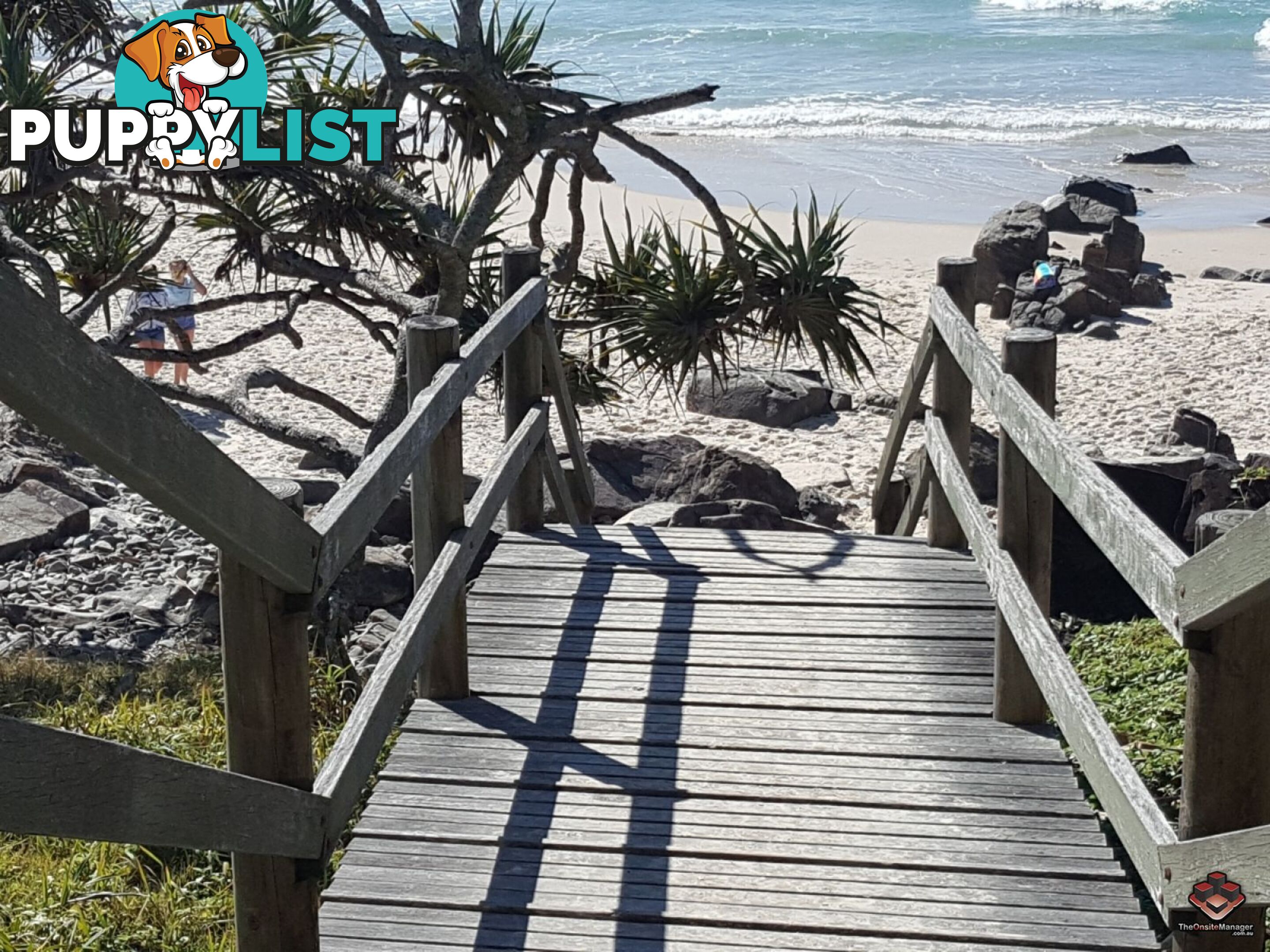 ID:3884223/105 Tweed Coast Road Cabarita Beach NSW 2488