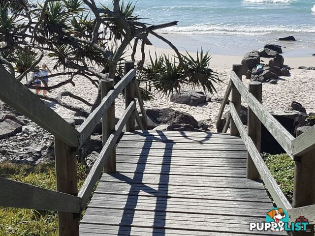 ID:3884223/105 Tweed Coast Road Cabarita Beach NSW 2488