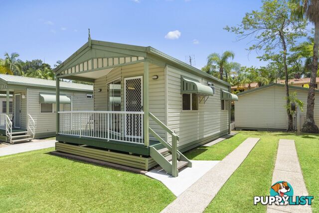 ID:21071807/71 Hinde Street Ashmore QLD 4214