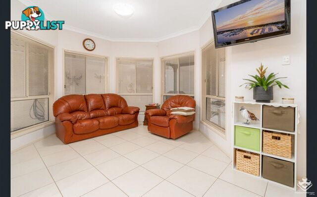 31 Centenial Street Underwood QLD 4119