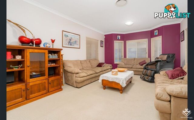 31 Centenial Street Underwood QLD 4119