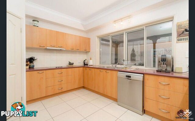 31 Centenial Street Underwood QLD 4119