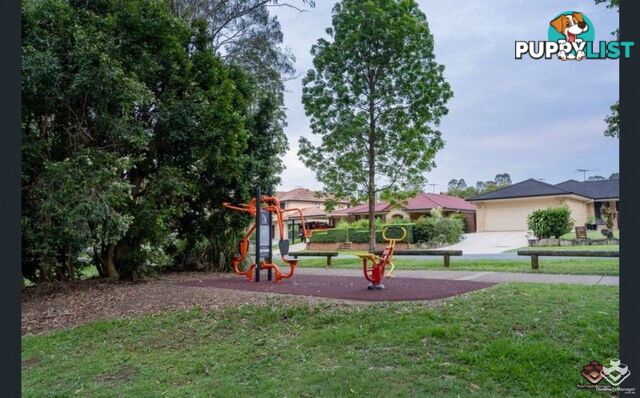 31 Centenial Street Underwood QLD 4119