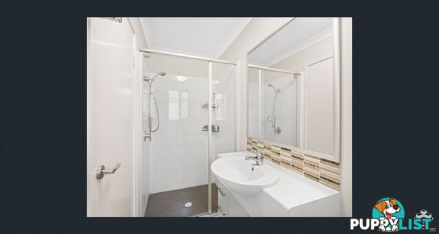 6 White Ibis Drive Griffin QLD 4503