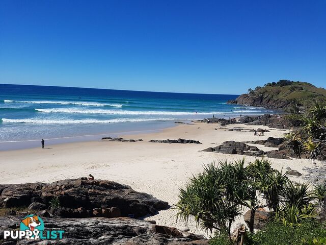 105 Tweed Coast Road Cabarita Beach NSW 2488