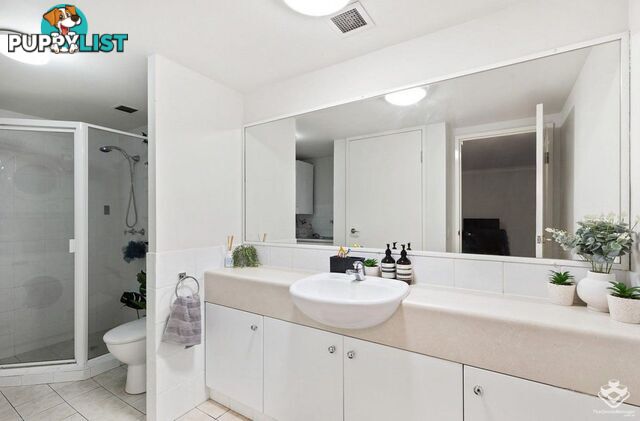 ID:21155769 45 Deakin Street Kangaroo Point QLD 4169