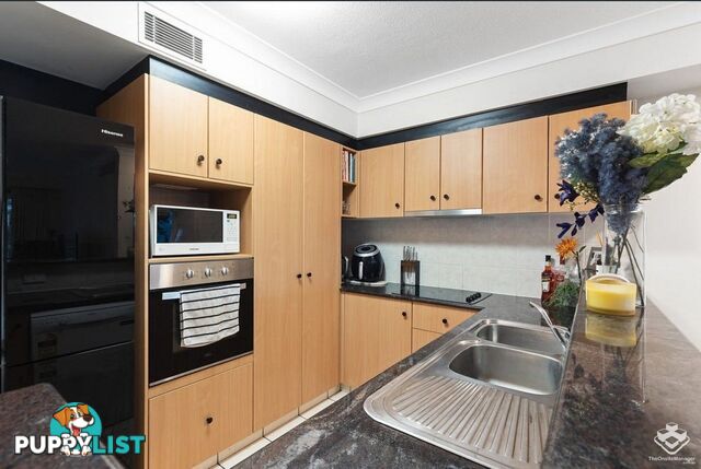 ID:21155769 45 Deakin Street Kangaroo Point QLD 4169