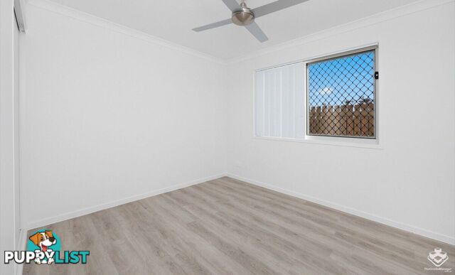 Eli Waters QLD 4655