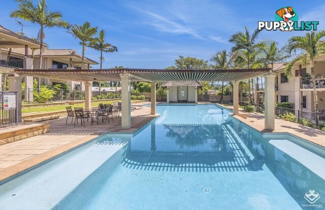 ID:21156694 1 Robson Street Mooroobool QLD 4870