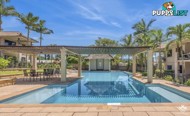 ID:21156694 1 Robson Street Mooroobool QLD 4870