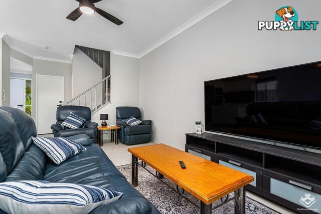 ID:21126742 92 Guineas Creek Road Currumbin Waters QLD 4223