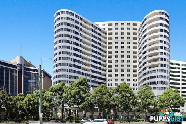 ID:21154771 14 Brown Street Chatswood NSW 2067