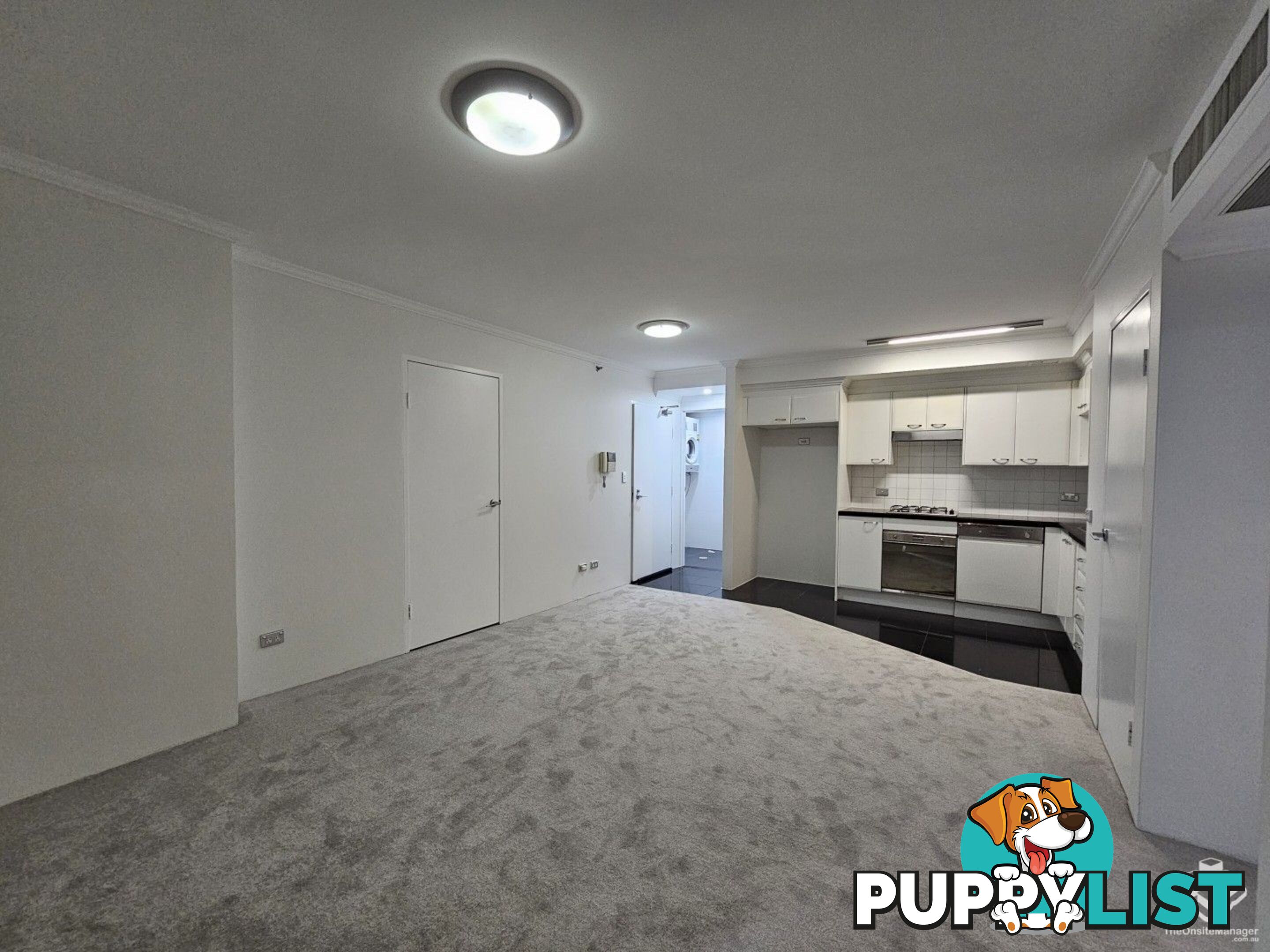 ID:21154771 14 Brown Street Chatswood NSW 2067