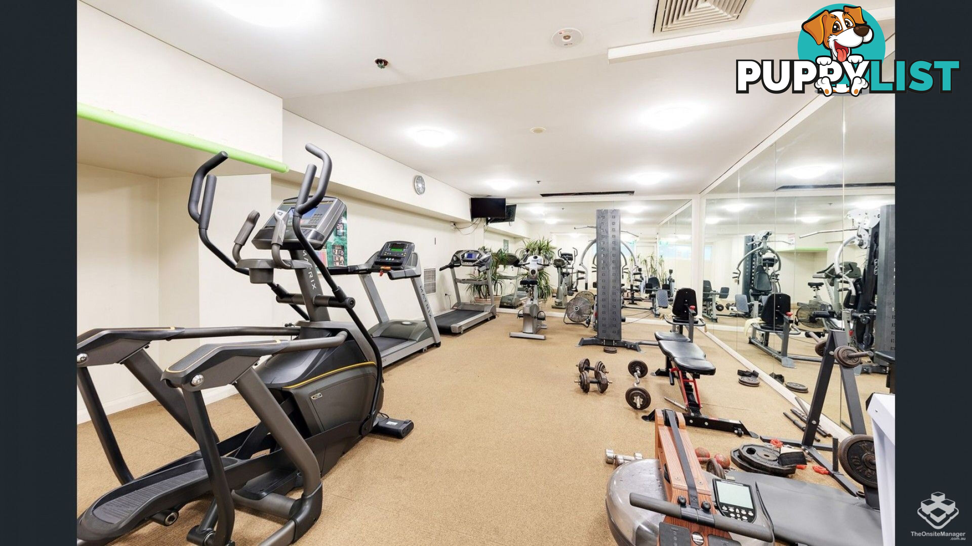 ID:21154771 14 Brown Street Chatswood NSW 2067