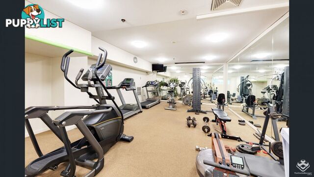 ID:21154771 14 Brown Street Chatswood NSW 2067