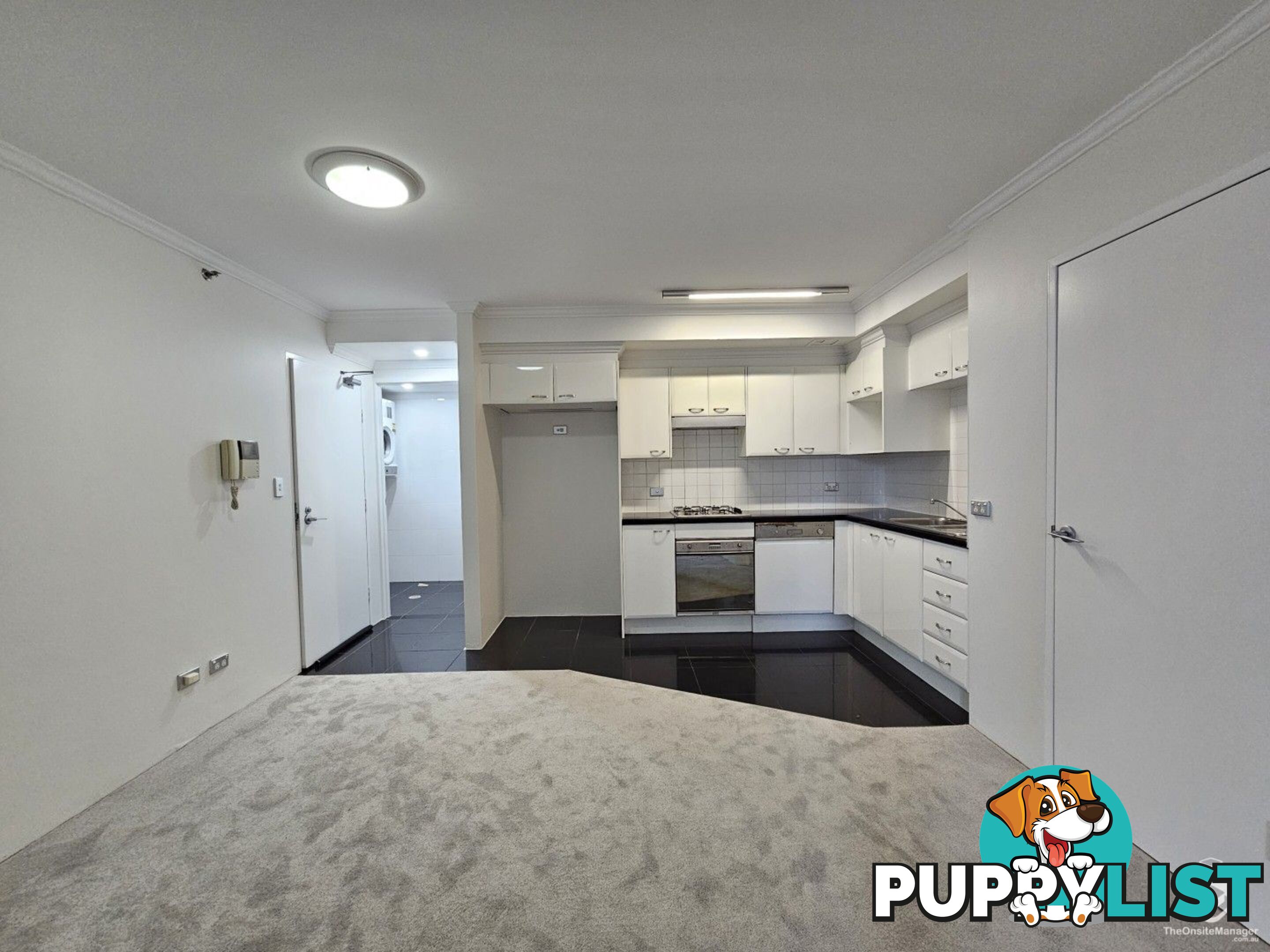 ID:21154771 14 Brown Street Chatswood NSW 2067