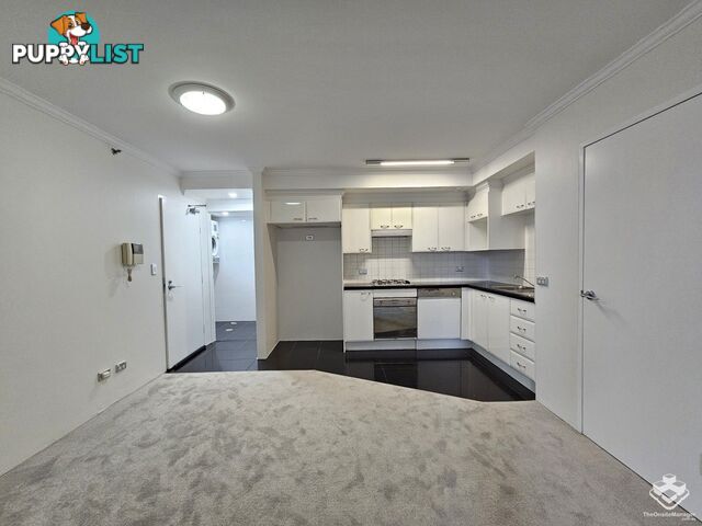 ID:21154771 14 Brown Street Chatswood NSW 2067