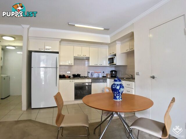 ID:21154771 14 Brown Street Chatswood NSW 2067