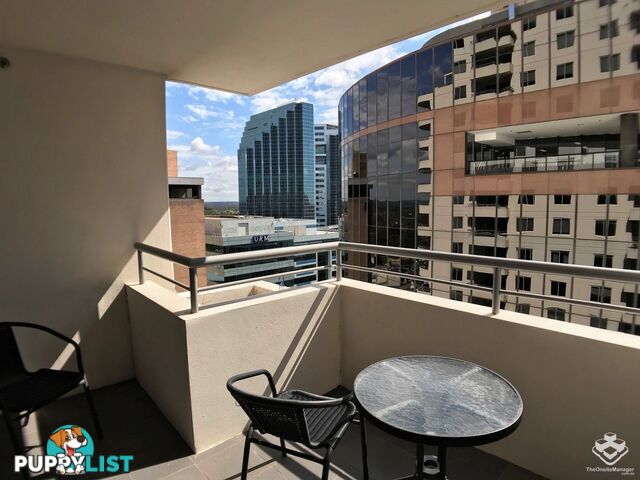 ID:21154771 14 Brown Street Chatswood NSW 2067