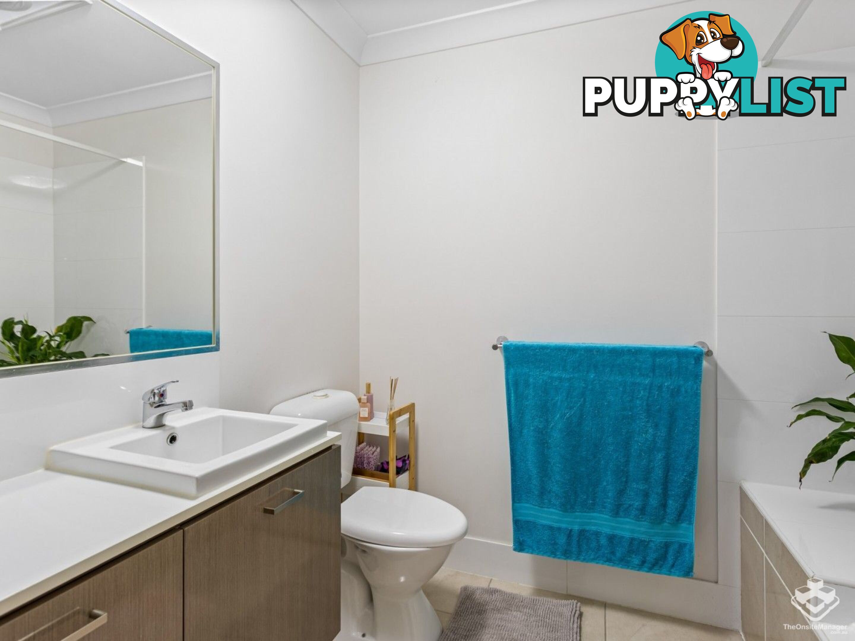 ID:21156646 325 Stanley Street Brendale QLD 4500