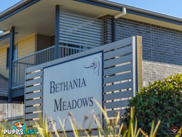 ID:3898437/113 Clearwater Street Bethania QLD 4205