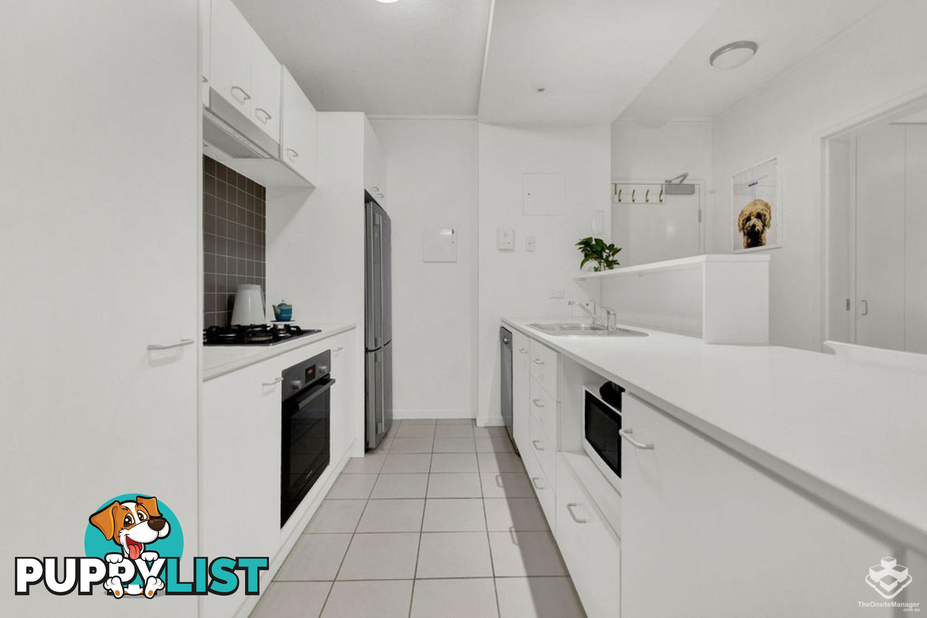 ID:21156299 71 Beeston Street Teneriffe QLD 4005