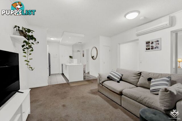 ID:21156299 71 Beeston Street Teneriffe QLD 4005