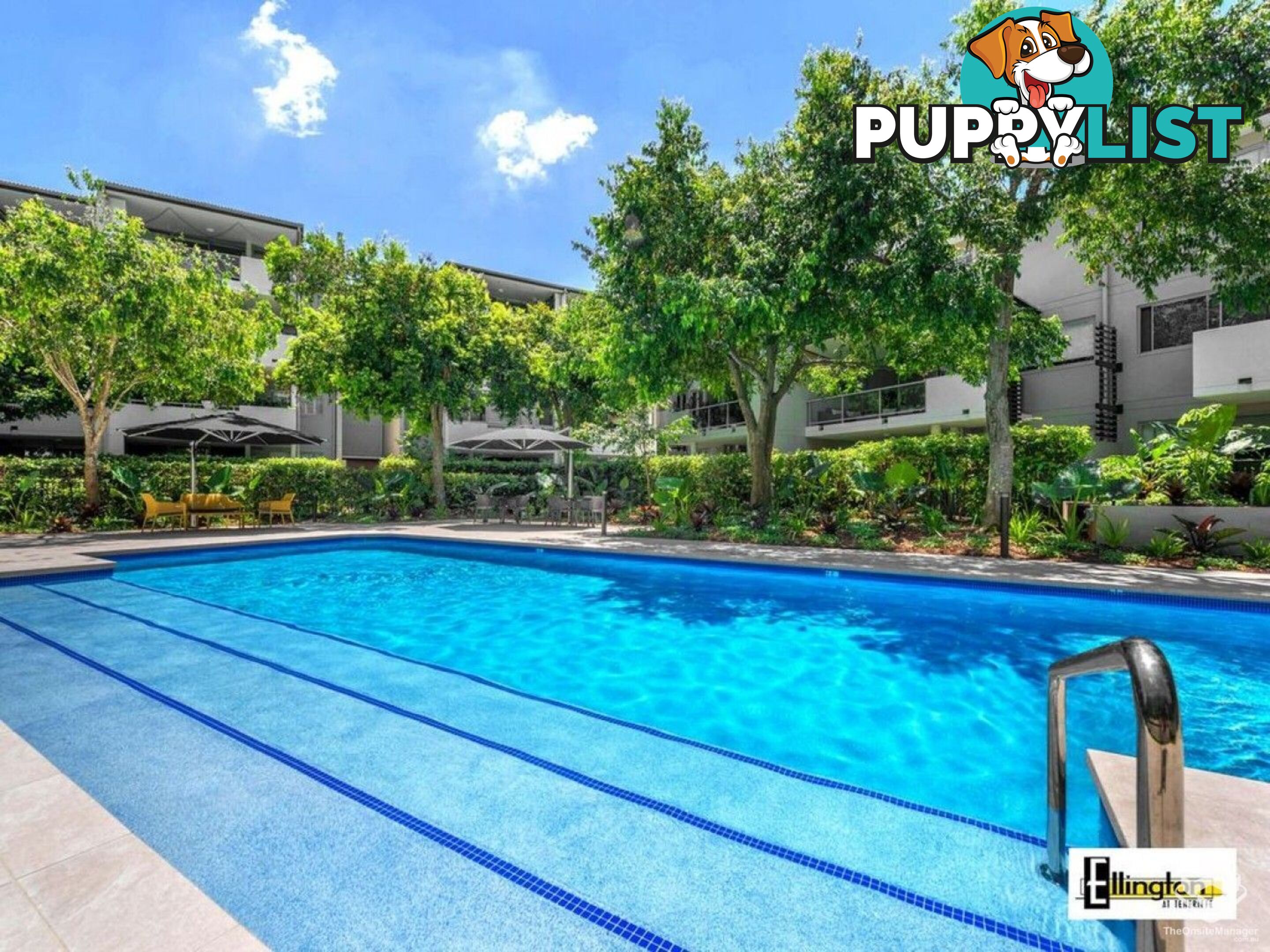 ID:21156299 71 Beeston Street Teneriffe QLD 4005