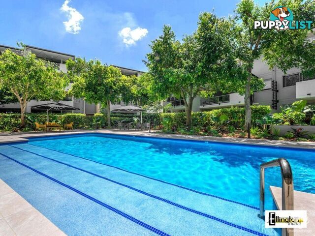 ID:21156299 71 Beeston Street Teneriffe QLD 4005
