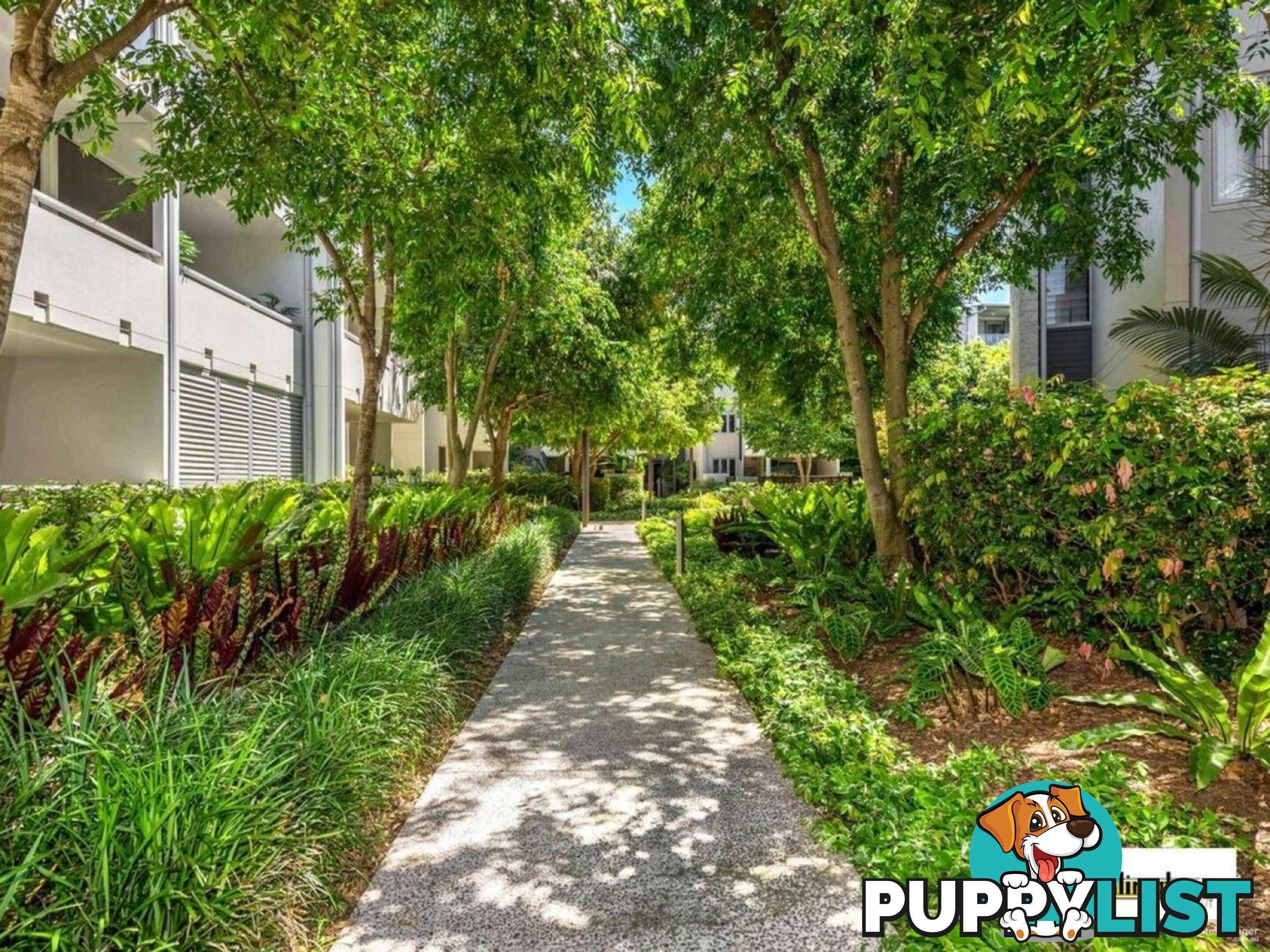 ID:21156299 71 Beeston Street Teneriffe QLD 4005