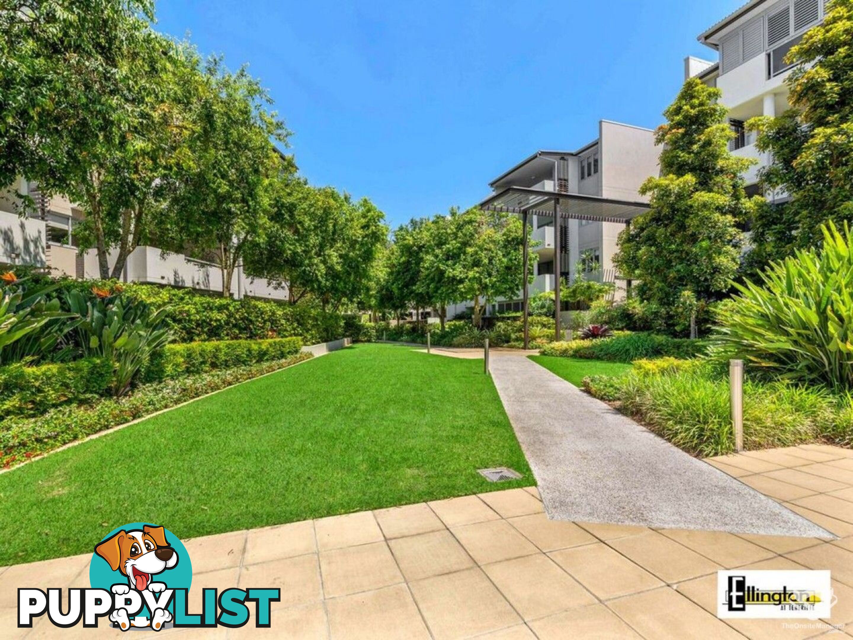 ID:21156299 71 Beeston Street Teneriffe QLD 4005