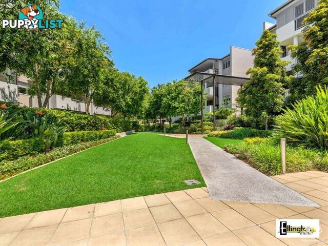 ID:21156299 71 Beeston Street Teneriffe QLD 4005