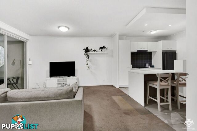 ID:21156299 71 Beeston Street Teneriffe QLD 4005