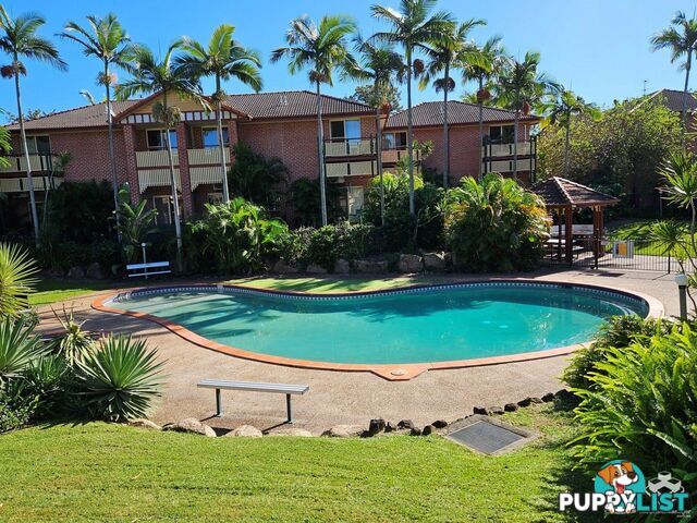 ID:21157712 100 Racecourse Drive Bundall QLD 4217
