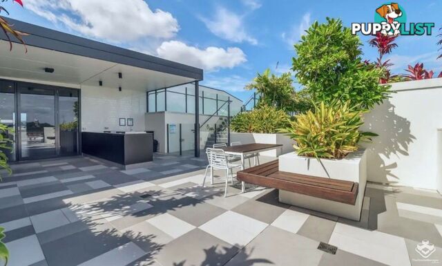 108/77 Jane Street West End QLD 4101