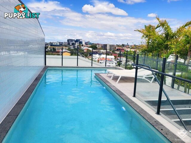 108/77 Jane Street West End QLD 4101