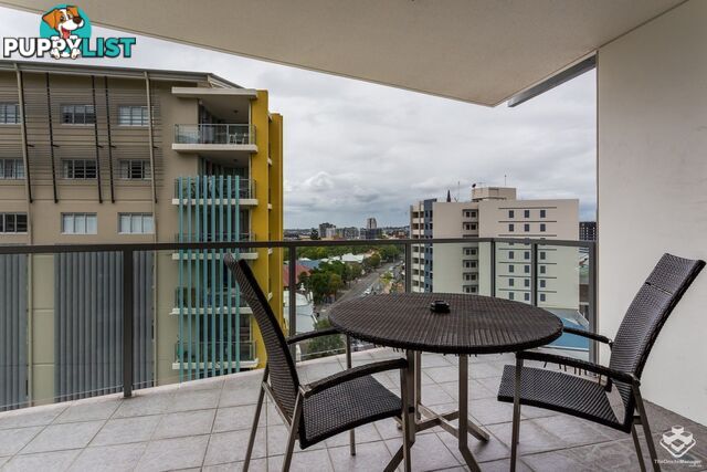 ID:21151961 170 Leichhardt Street Spring Hill QLD 4000