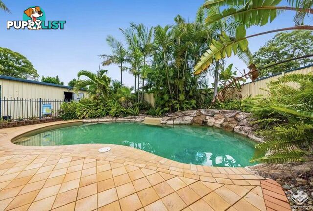 20 Chermside Street Wellington Point QLD 4160