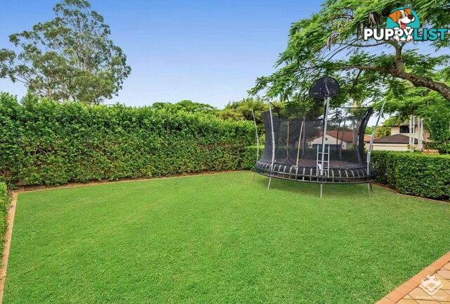 20 Chermside Street Wellington Point QLD 4160