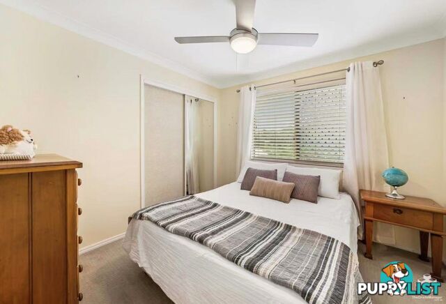 20 Chermside Street Wellington Point QLD 4160