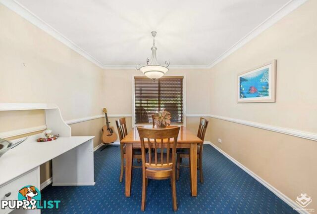 20 Chermside Street Wellington Point QLD 4160