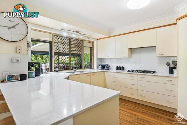 20 Chermside Street Wellington Point QLD 4160