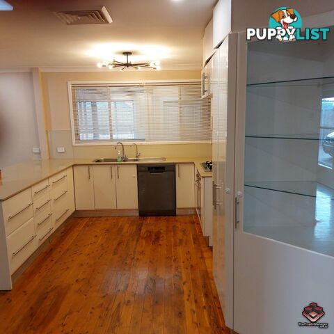 20 Timesweep Drive St Clair NSW 2759