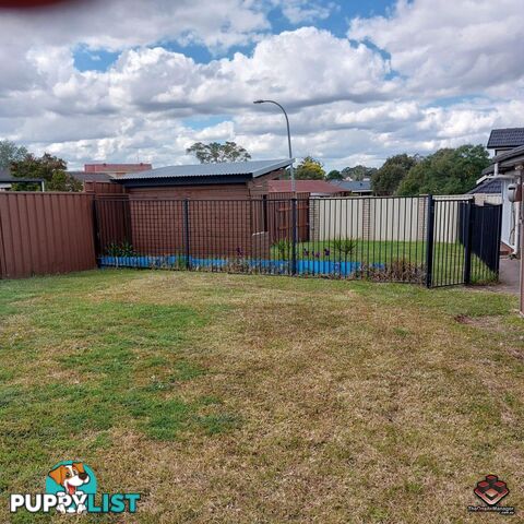 20 Timesweep Drive St Clair NSW 2759
